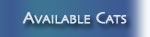 Available Cats