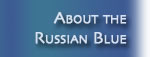 About Russian Blues