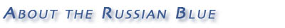 About Russian blues